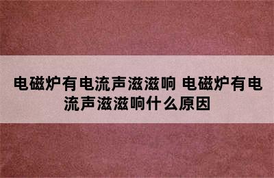 电磁炉有电流声滋滋响 电磁炉有电流声滋滋响什么原因